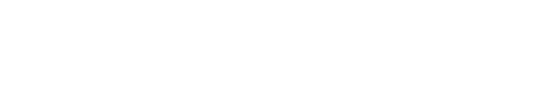 VYZOR Logo